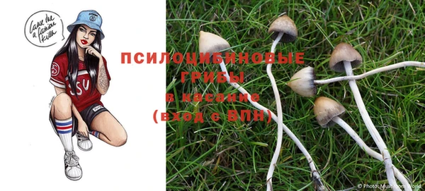 ALPHA-PVP Нефтекумск