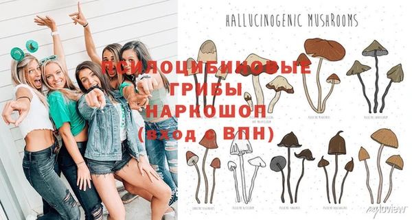ALPHA-PVP Нефтекумск