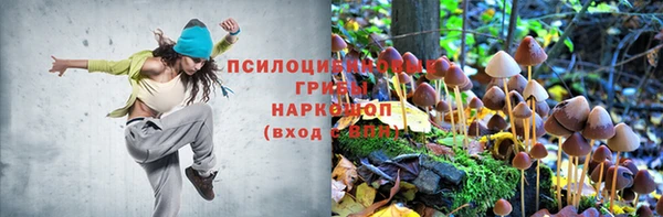 прущая мука Абаза