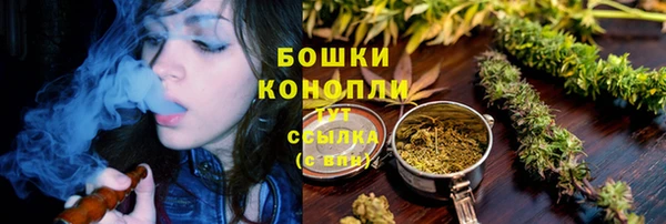 сатива Нея