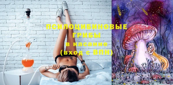 сатива Нея